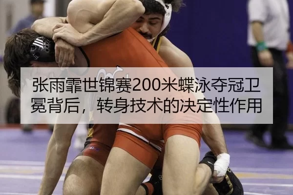 zhang-yu-fei-shi-jin-sai-mi-die-yong-duo-guan-wei-mian-bei-hou-zhuan-shen-ji-shu-de-jue-ding-xing-zuo-yong-2-513.jpg