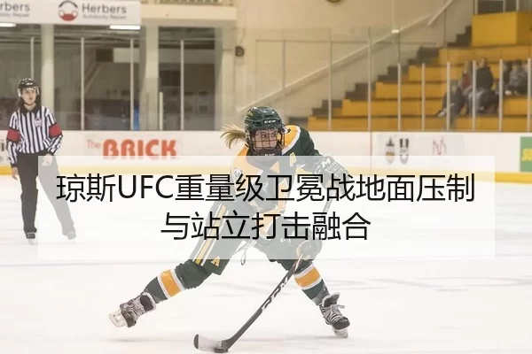 琼斯UFC重量级卫冕战地面压制与站立打击融合